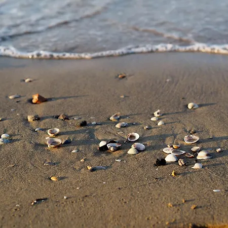 Find Peace Near The Sea In Our Welcoming Flat Appartamento