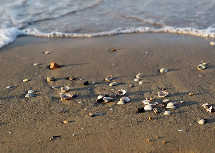 Find Peace Near The Sea In Our Welcoming Flat Apartmán